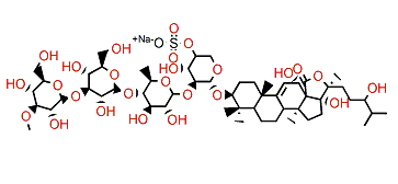 Holothurin A4